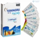 Αγορά Kamagra Oral Jelly 100 mg online χωρίς συνταγή στην καλύτερη τ